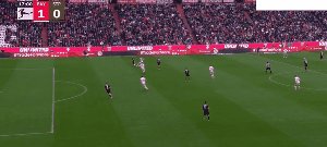 bay stp 5.gif