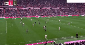 bay stp 4.gif