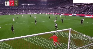 bay stp 7.gif